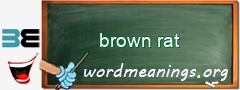 WordMeaning blackboard for brown rat